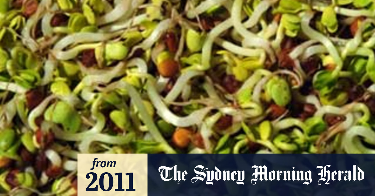 'It was the sprouts' E. coli source found